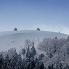 Wanderer auf dem Belchen