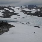 Wanderer im Breheimen Nationalpark