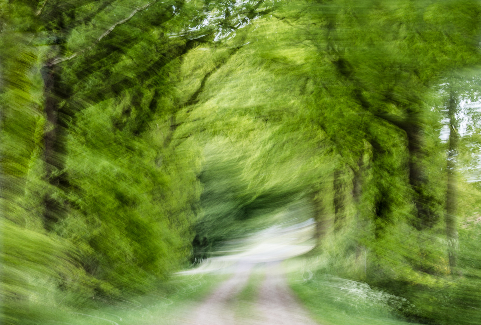 Wanderer im Hohlweg