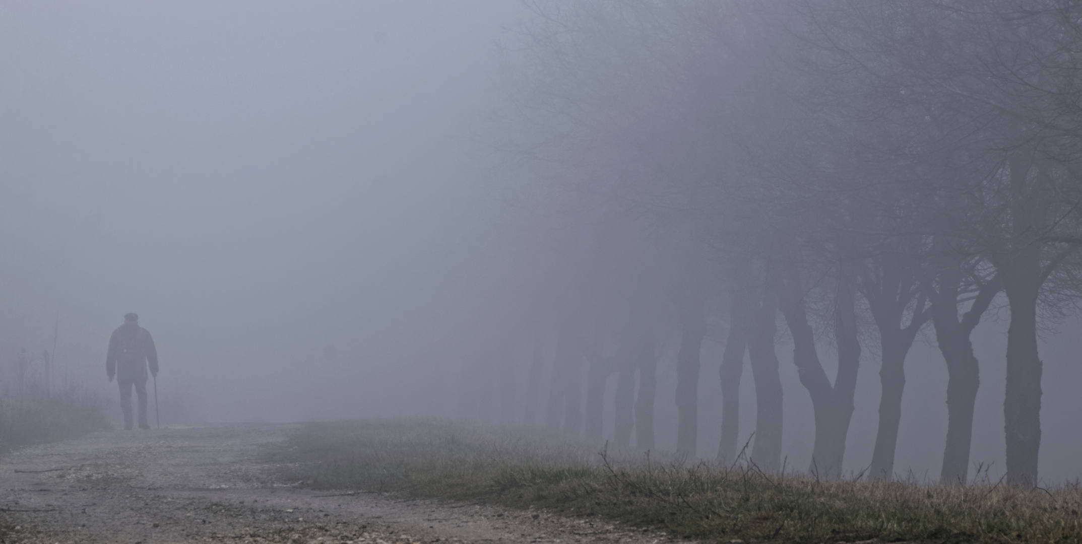 Wanderer im Nebel