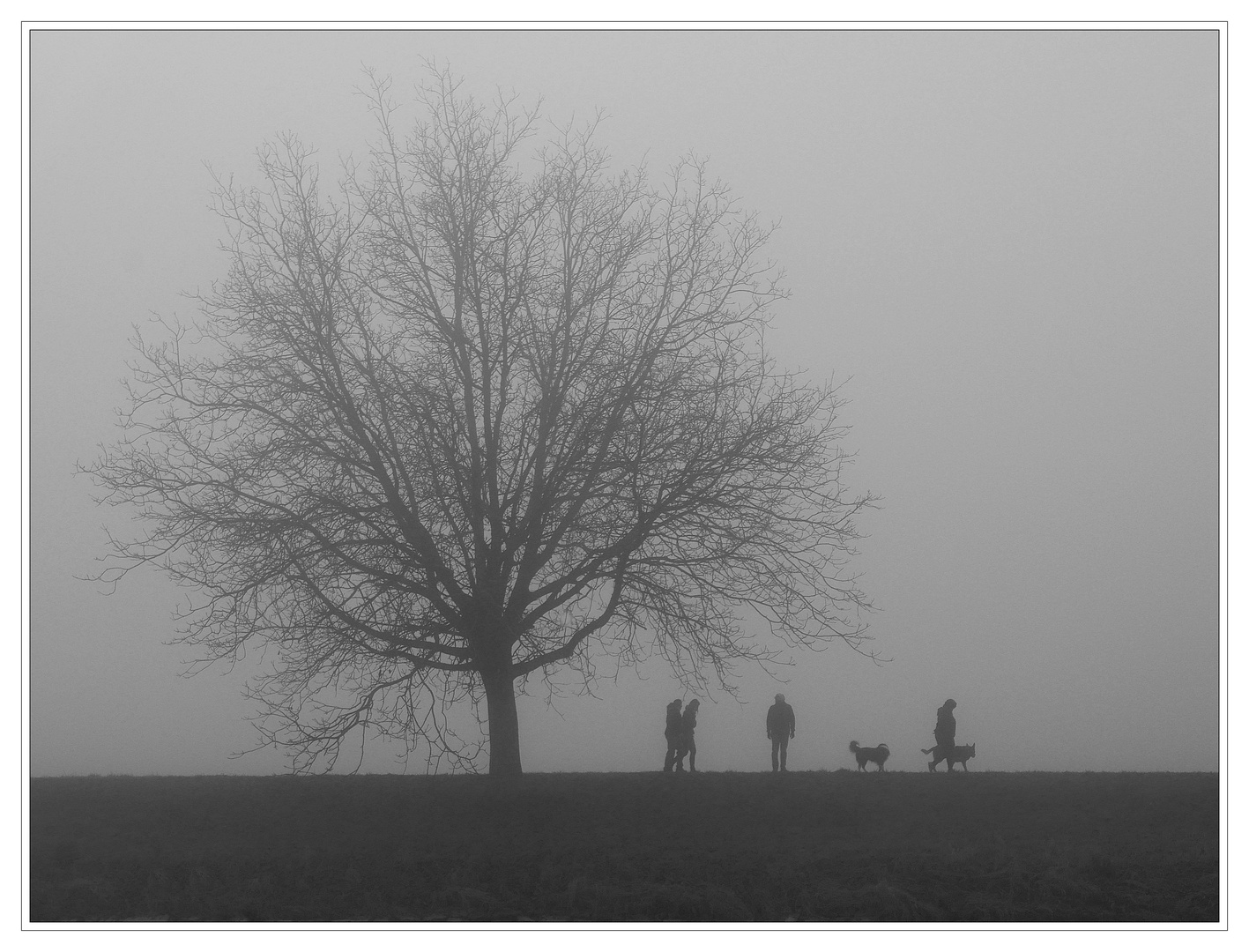 Wanderer im Nebel.