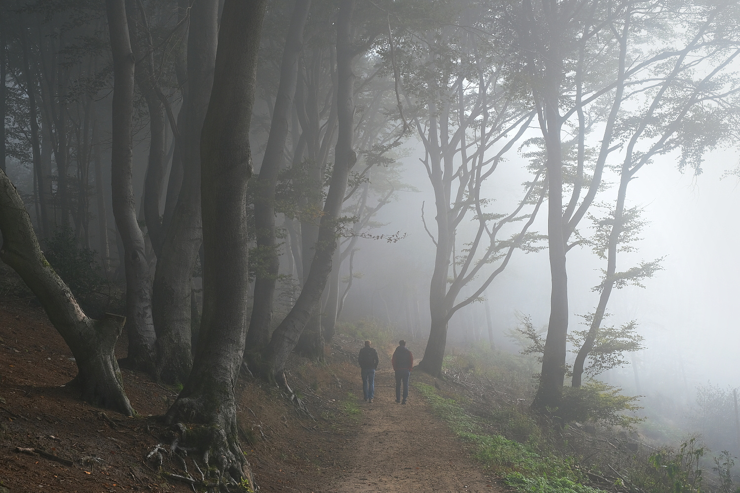 Wanderer im Nebel