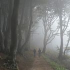 Wanderer im Nebel
