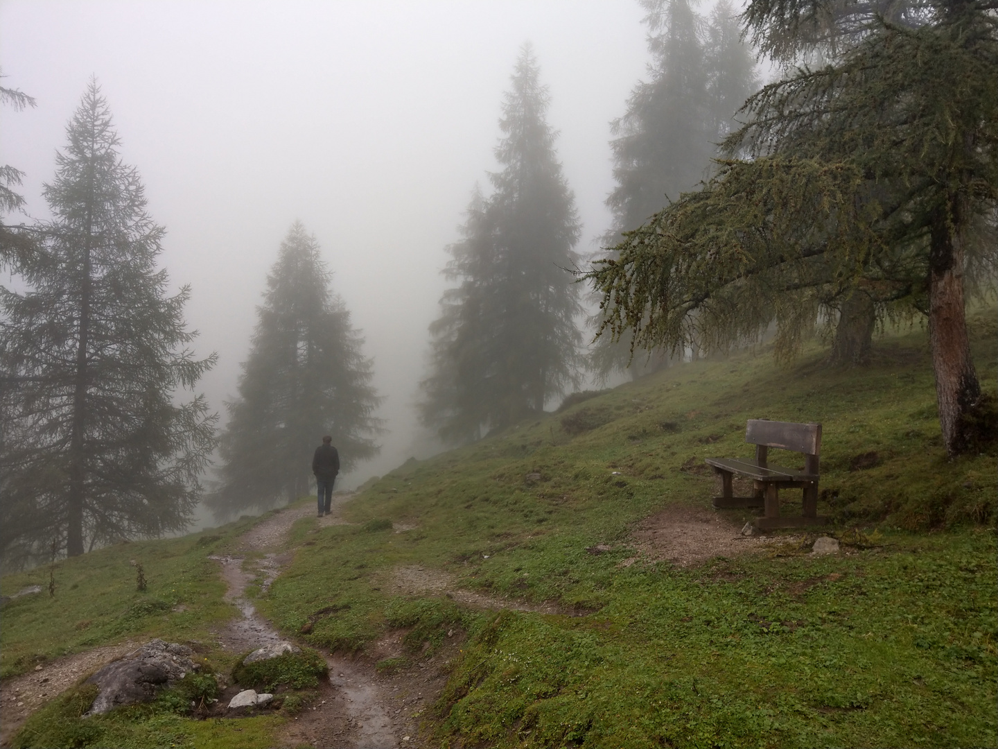 Wanderer im Nebel - nach Caspar David Friedrich