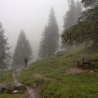 Wanderer im Nebel - nach Caspar David Friedrich