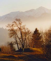 Wanderer im Spätherbst