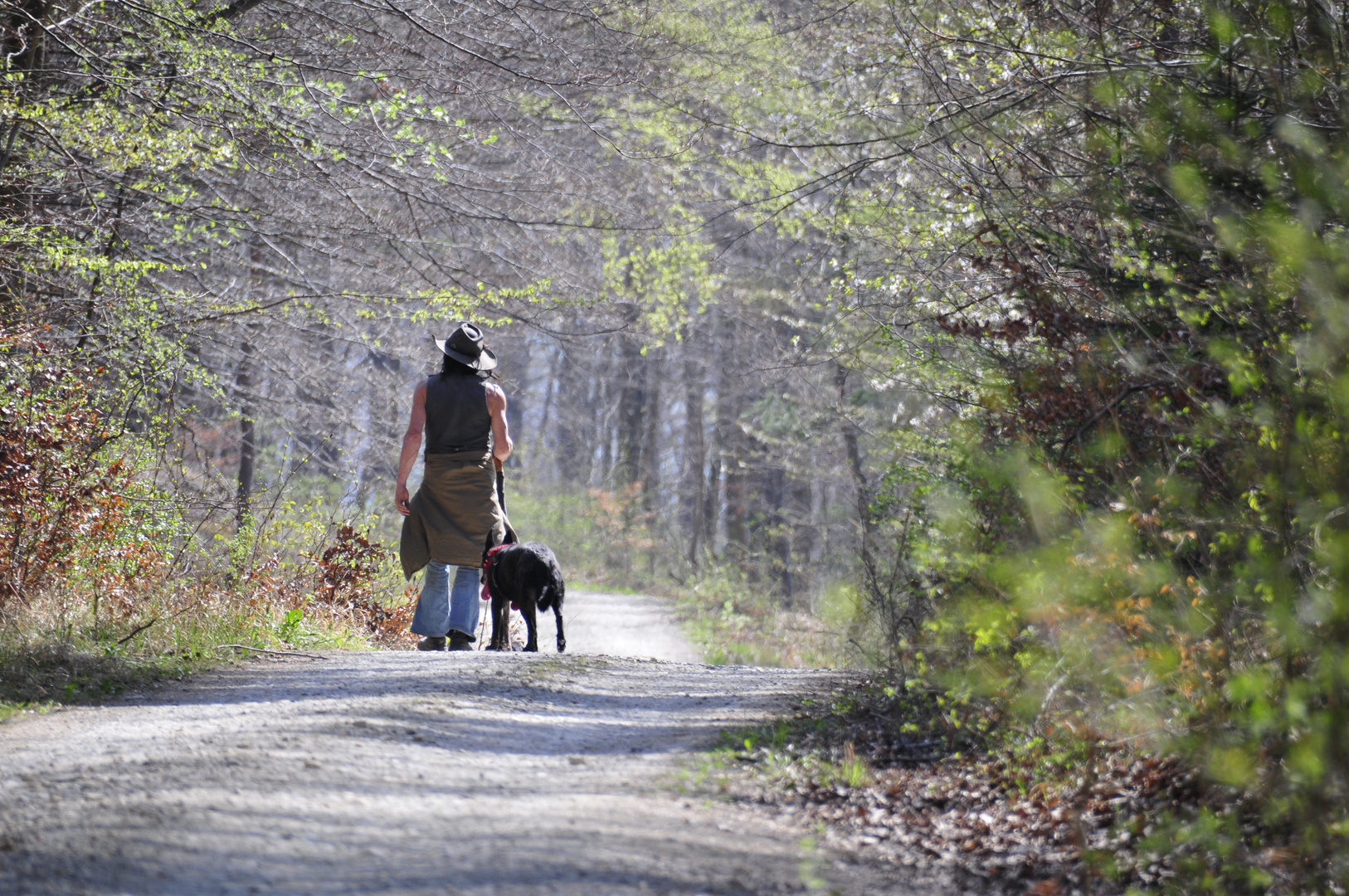 Wanderer im Wald