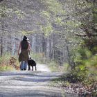 Wanderer im Wald