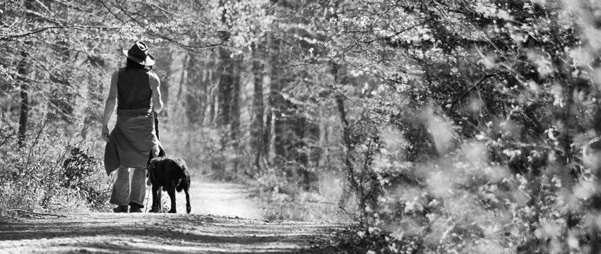 Wanderer im Wald: in s/w