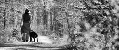 Wanderer im Wald: in s/w