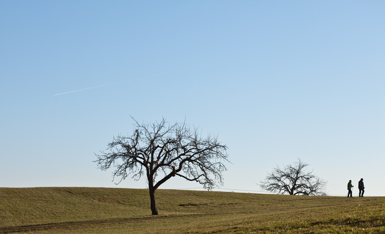 Wanderer im Westerwald