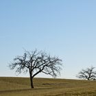 Wanderer im Westerwald