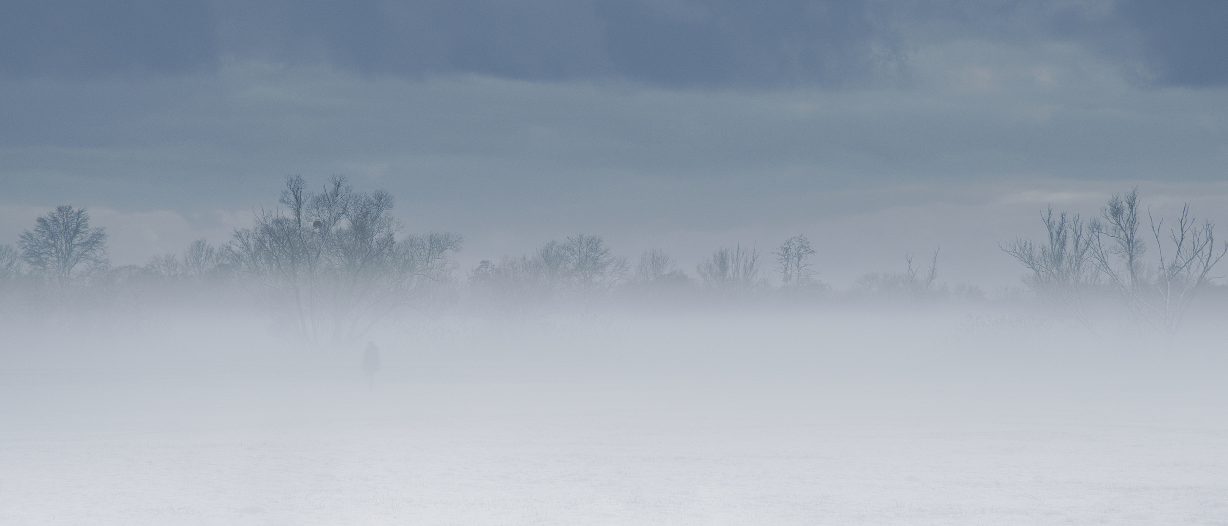 Wanderer in Nebel