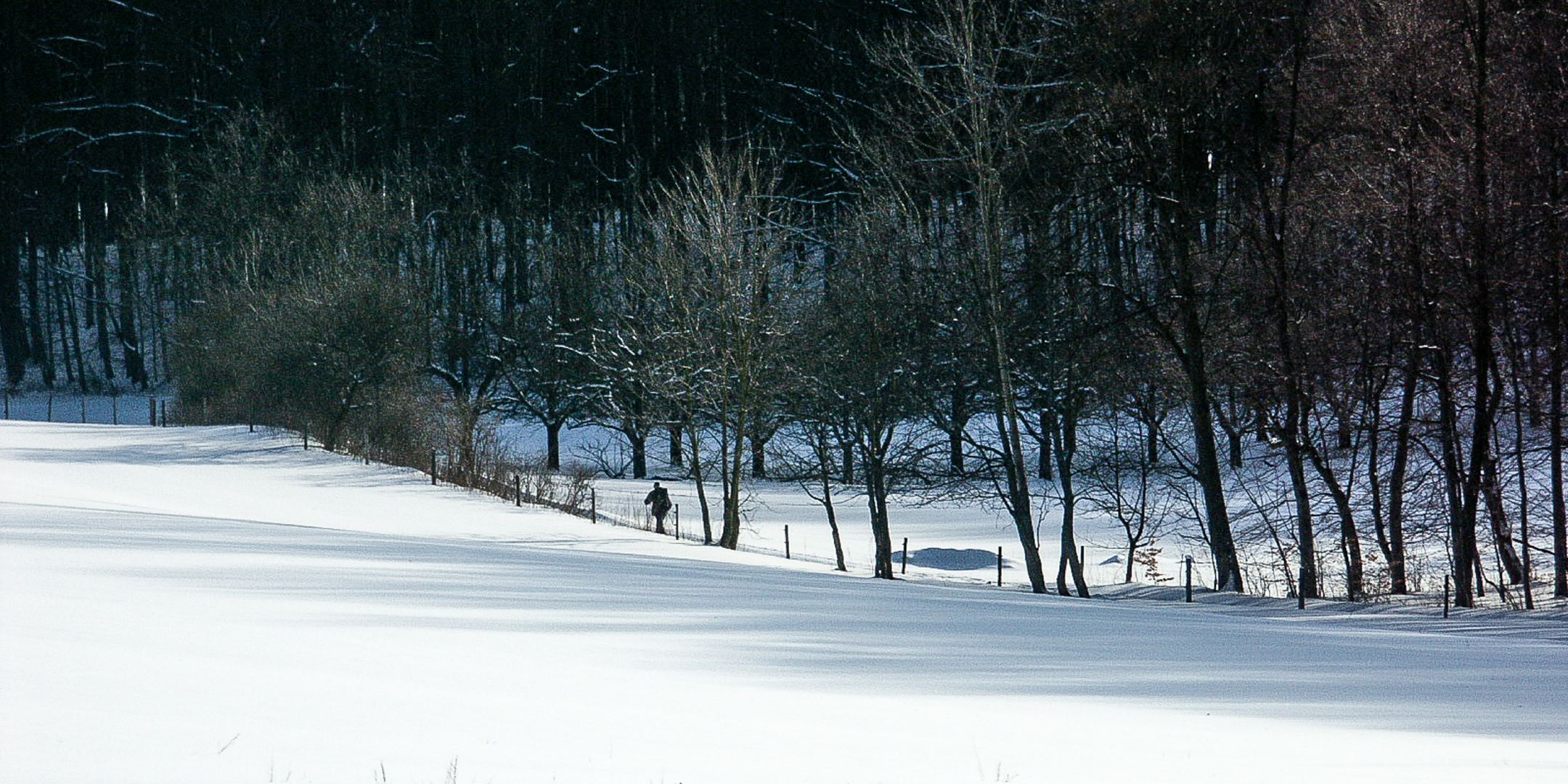 Wanderer in Schneelandschaft