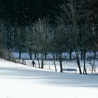 Wanderer in Schneelandschaft