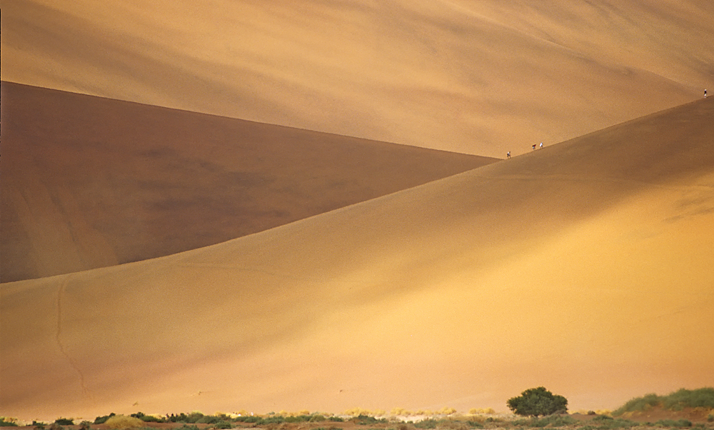 Wanderer in Sossusvlei