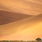 Wanderer in Sossusvlei