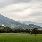 Wanderer, kommst du nach Liechtenstein...