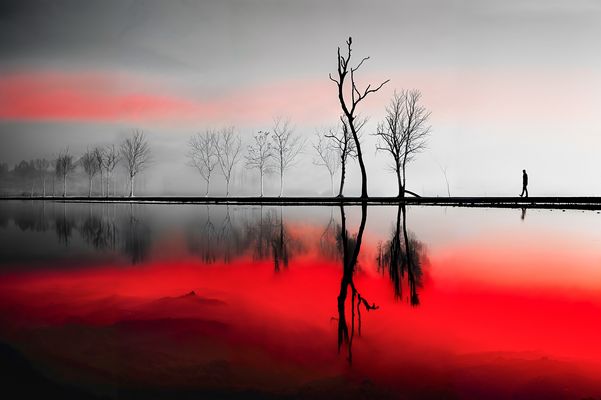 Wanderer und Baeume am Ufer-02a