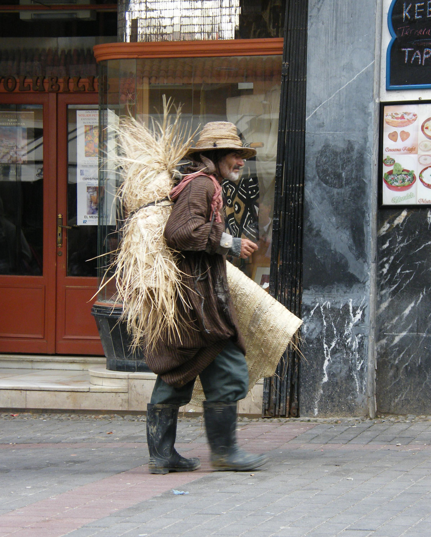 Wanderer zwischen den Welten