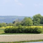 wandergesellen es wird frühling