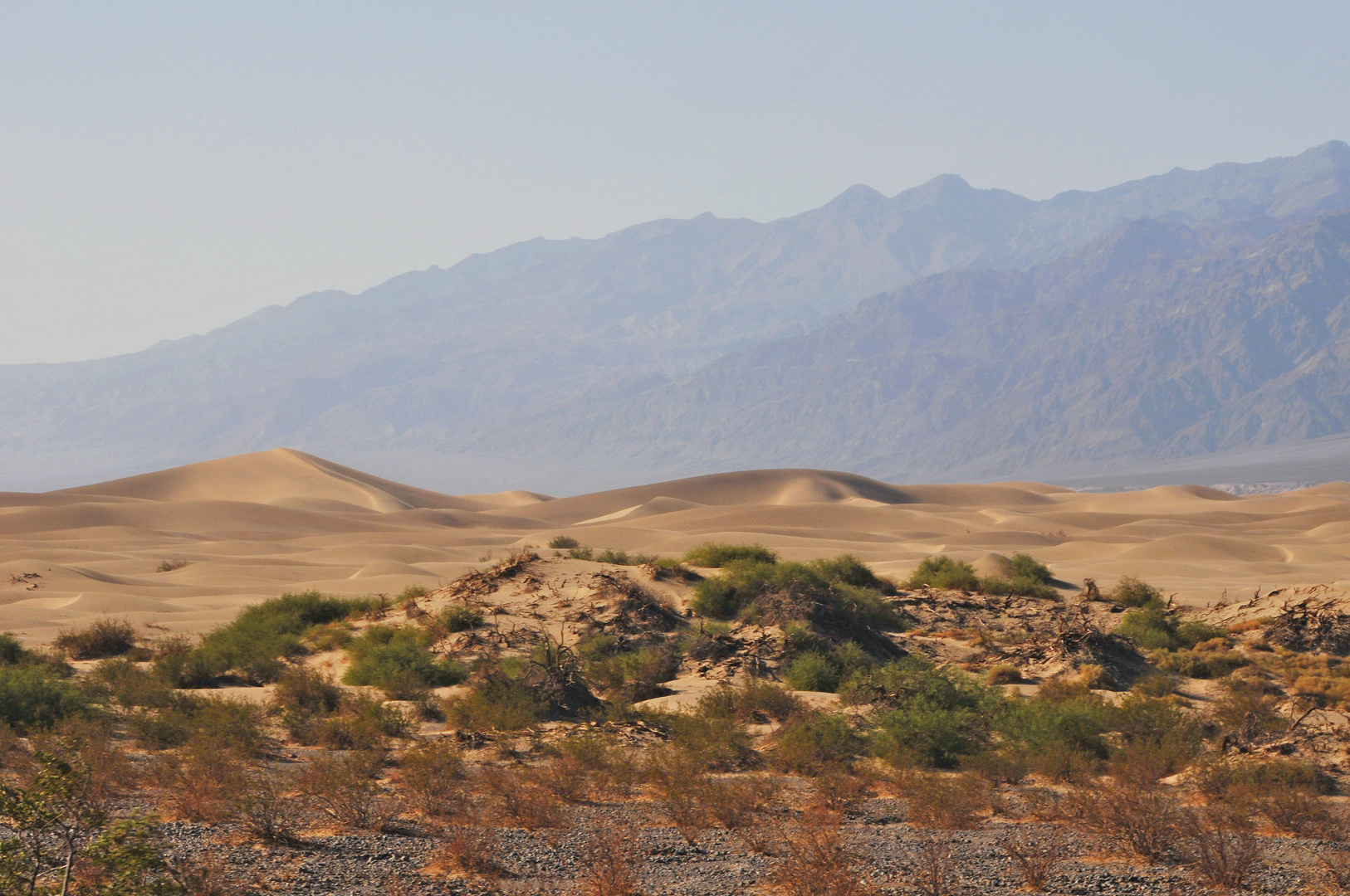 wandering dunes ...