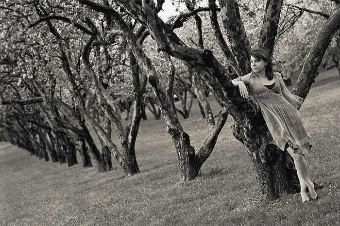 Wandering in apple trees