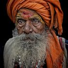 wandering sadhu