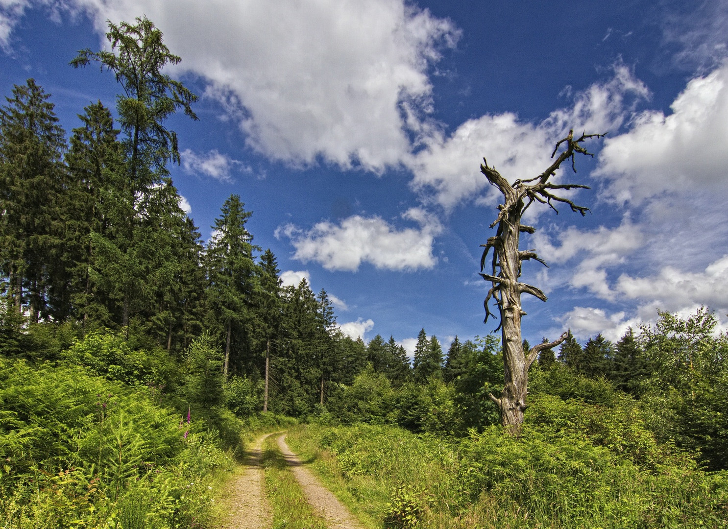 Wanderland Sauerland