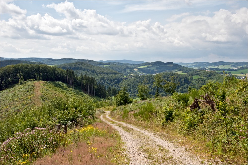 Wanderlust im Sauerland