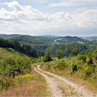 Wanderlust im Sauerland