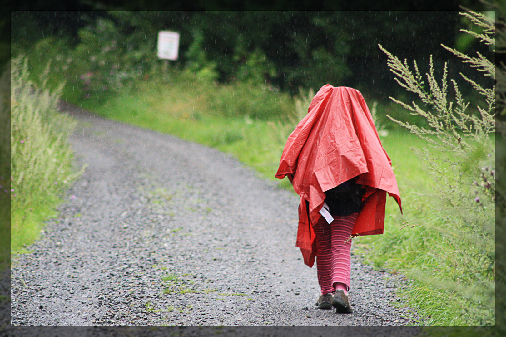 Wandermädchen im Regen