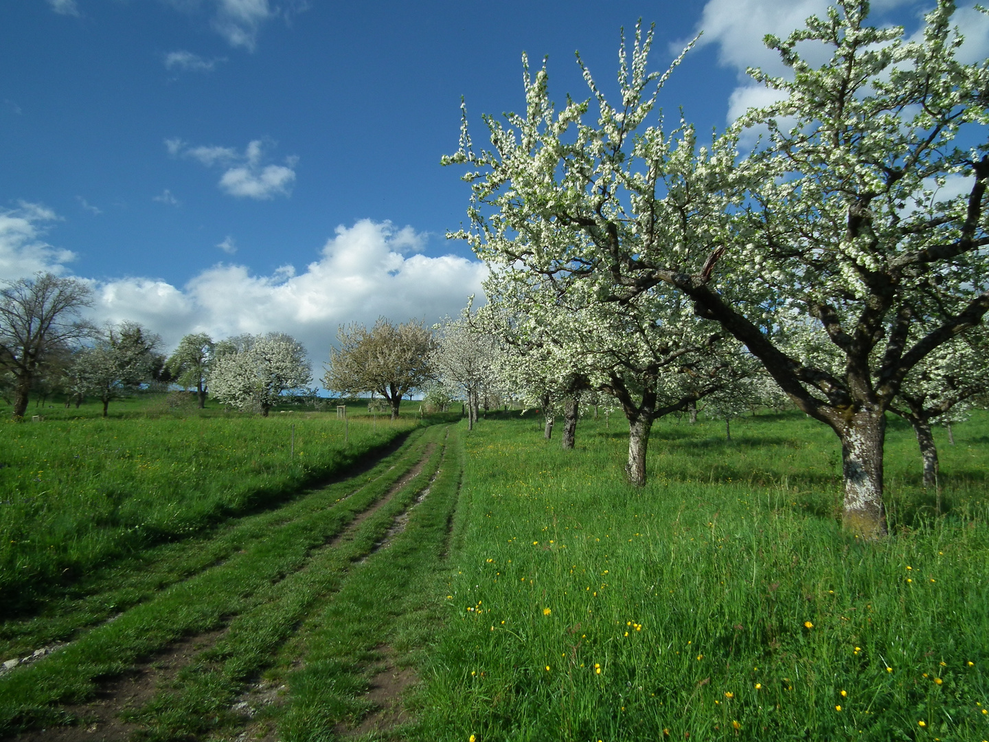 Wandern