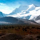 Wandern am Athabasca Gletscher