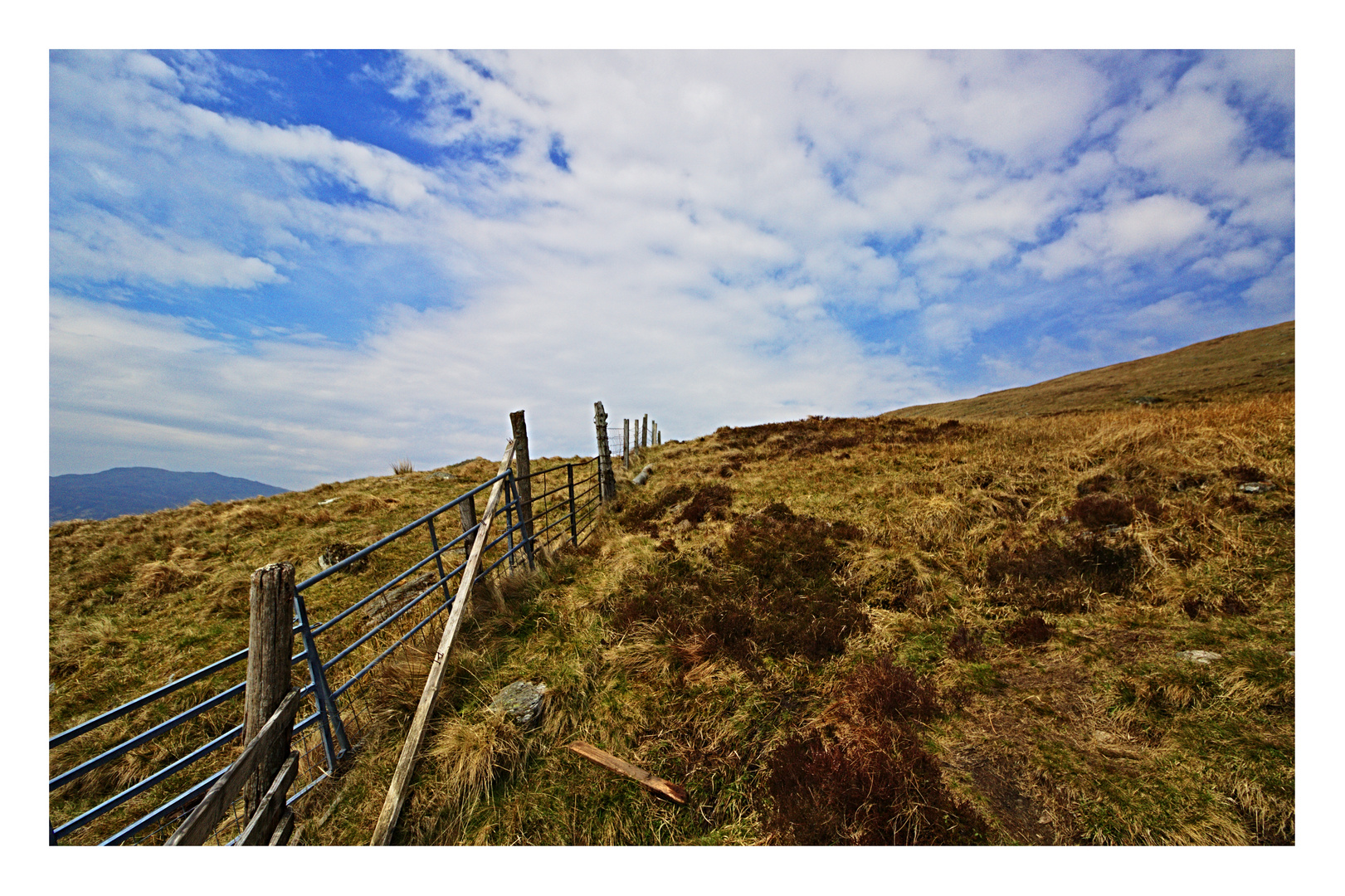 wandern am ben lomond...