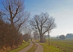 Wandern am frostigen Morgen