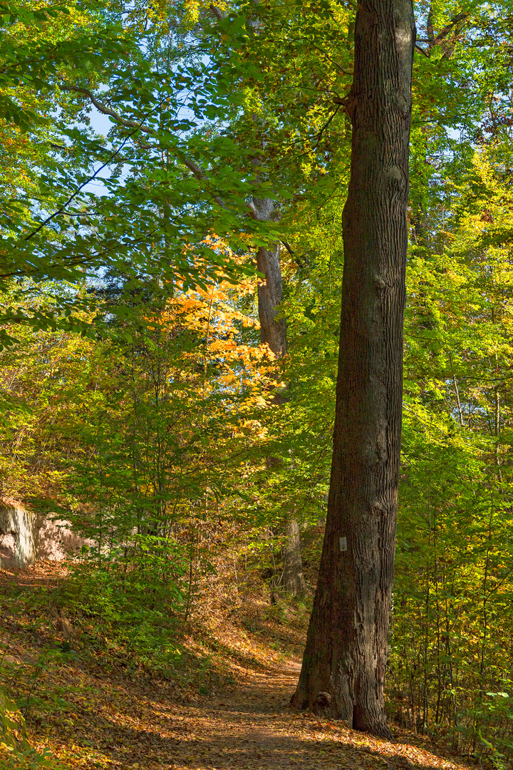 Wandern am Fuße der Wartburg