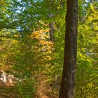 Wandern am Fuße der Wartburg