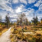 Wandern am Grövelsjön 