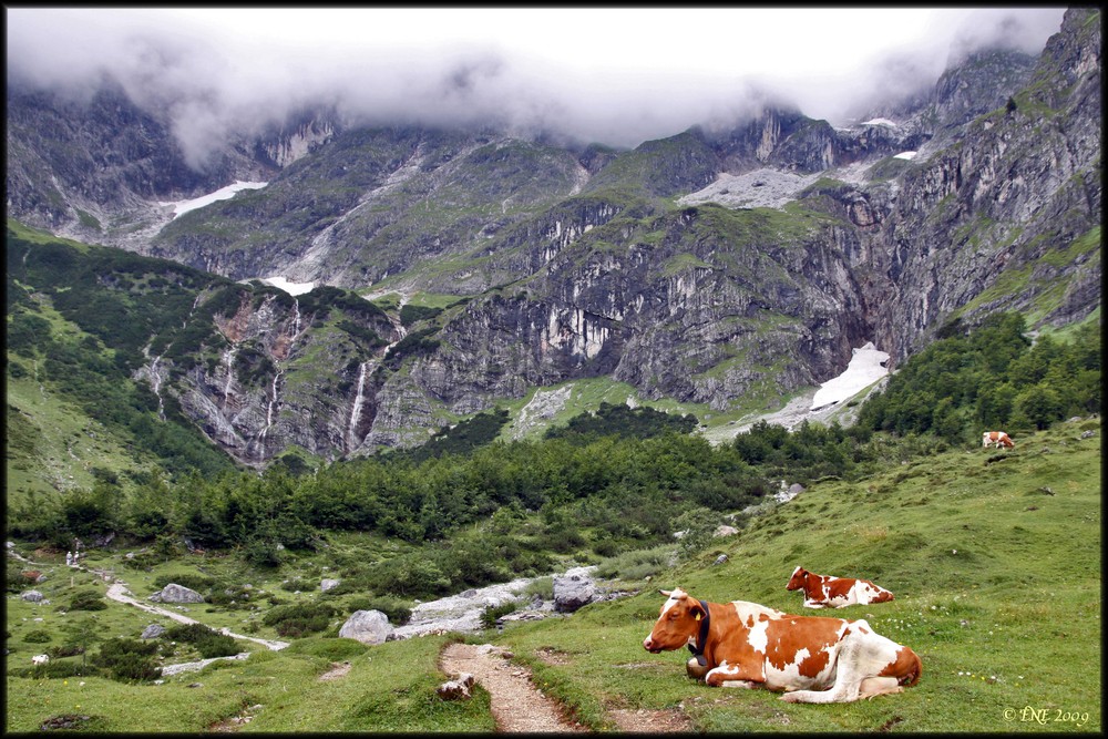 Wandern am Höchkönig...