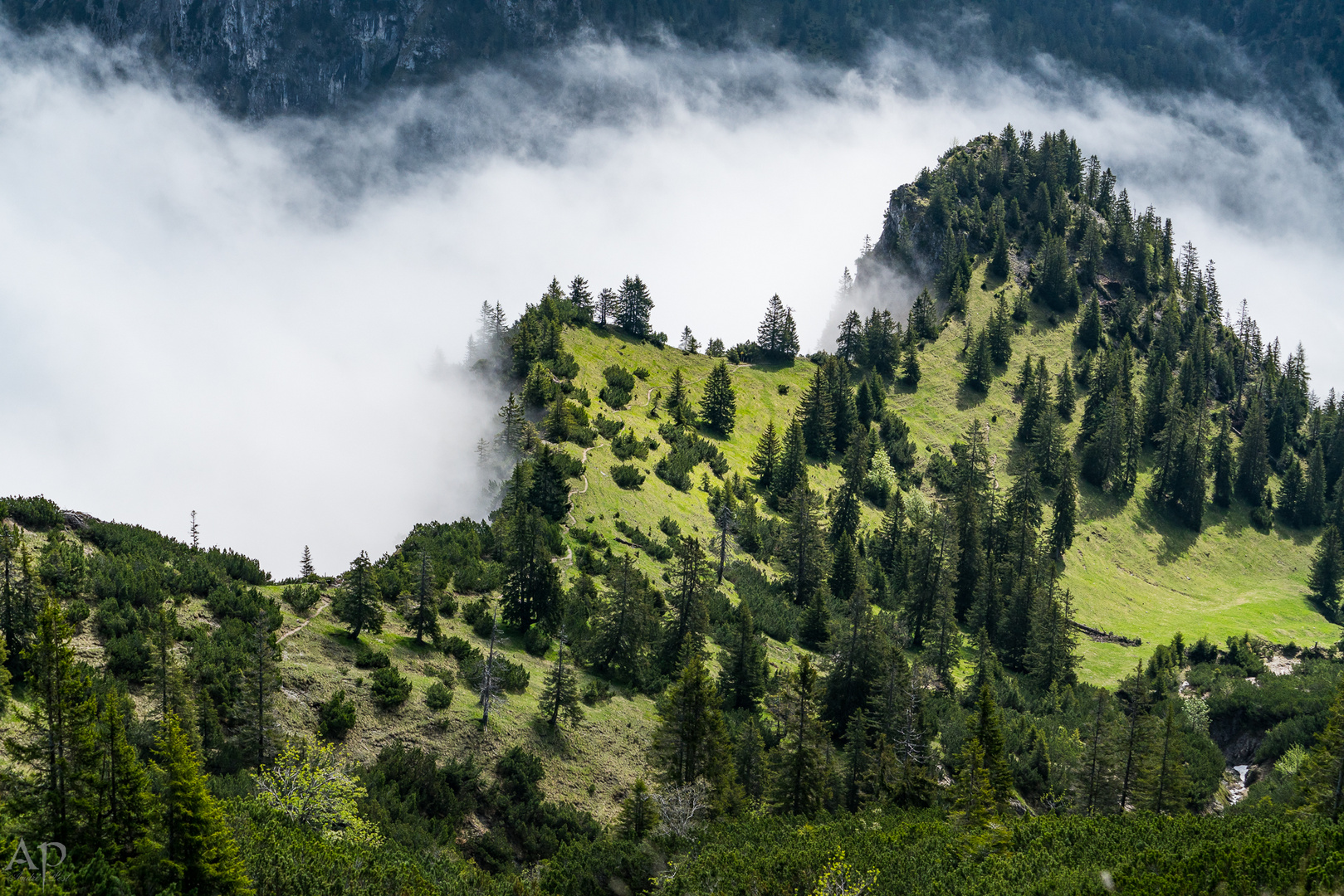 Wandern am Säuling