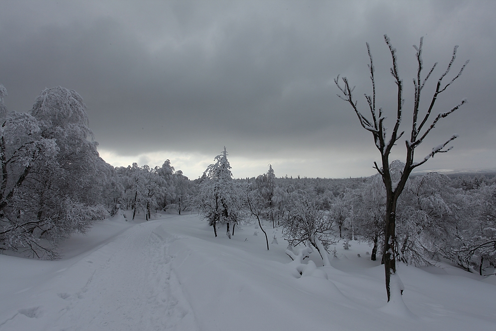 Wandern am Schneeberg