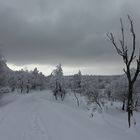 Wandern am Schneeberg