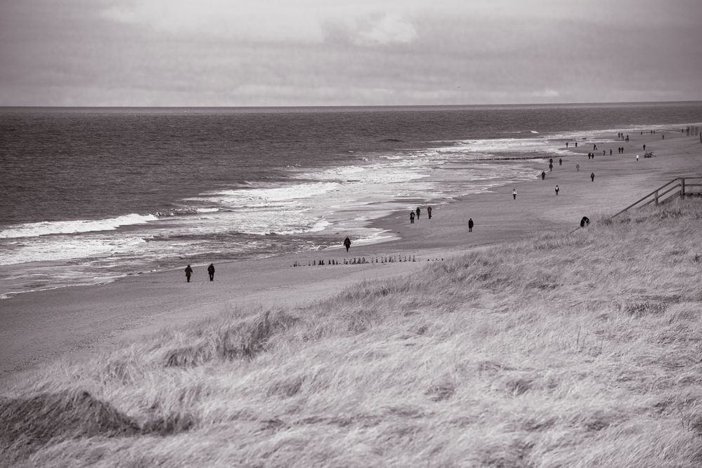 Wandern am Strand.                     DSC_7779