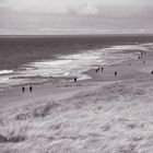 Wandern am Strand.                     DSC_7779