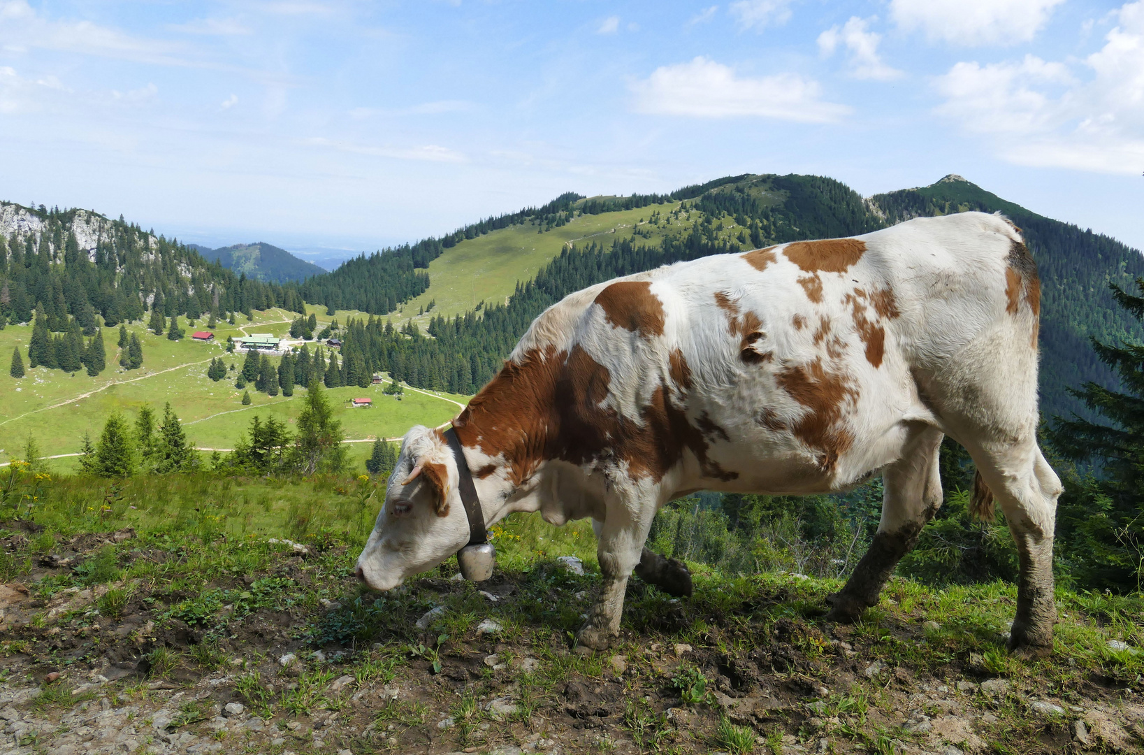 ...wandern am Stümpfling...