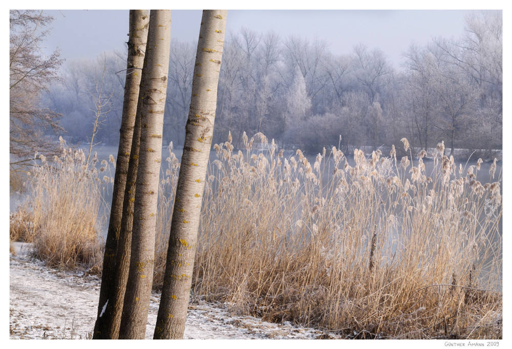 Wandern am Ufer