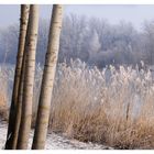 Wandern am Ufer