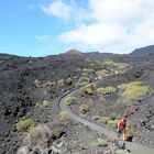 Wandern am Vulkan / La Palma