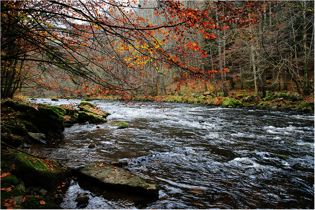 Wandern an der Ilz